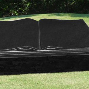 Small Open Book